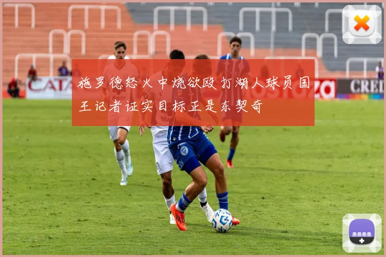 施罗德怒火中烧欲殴打湖人球员国王记者证实目标正是东契奇