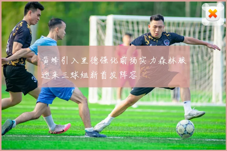 黄蜂引入里德强化前场实力森林狼迎来三球组新首发阵容